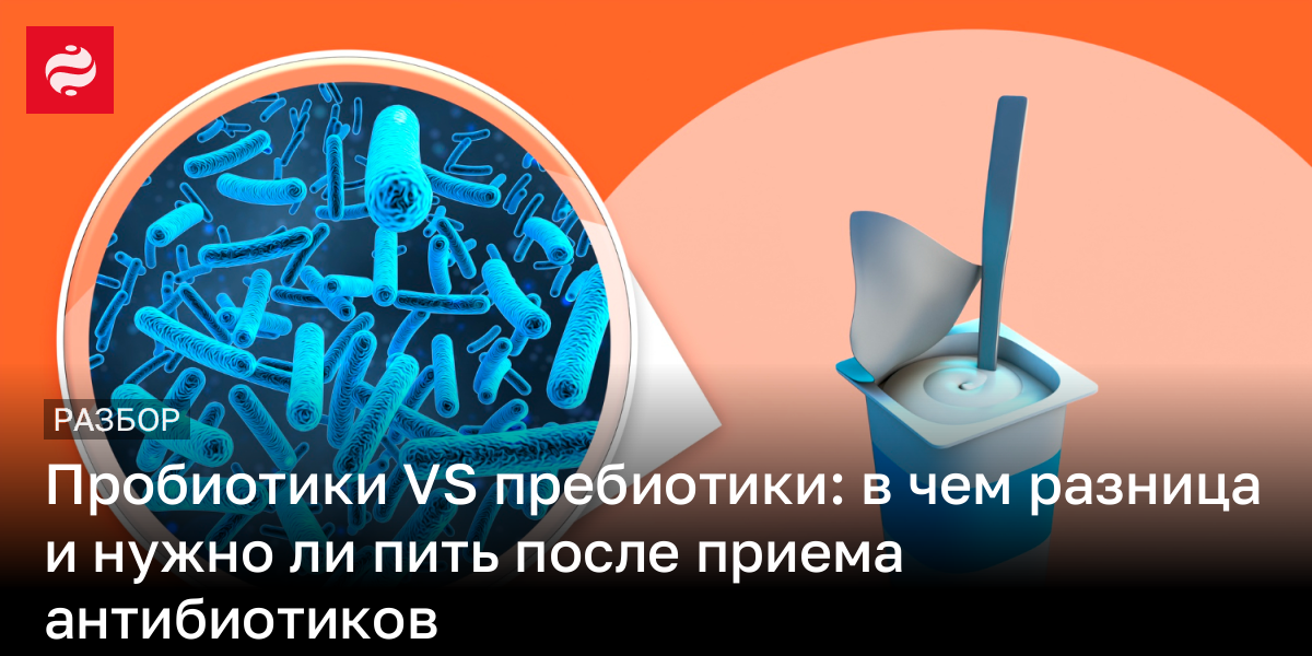 Пробиотики VS пребиотики: в чем разница и пить ли после приема ...