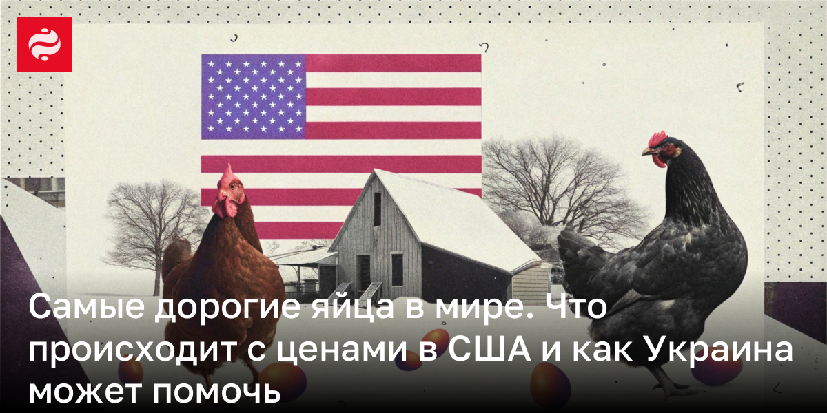 Самые дорогие яйца в мире. Что происходит с ценами в США и как Украина может помочь