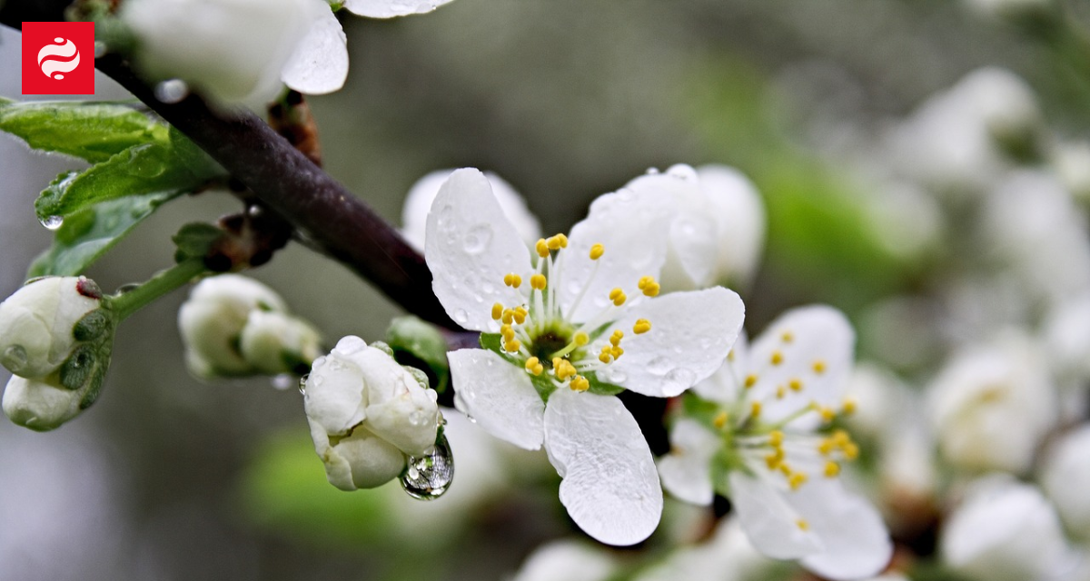 Усе про 24 квітня: яке свято, день ангела та що не можна робити