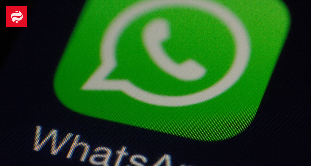 Meta запускает рекламу в WhatsApp: нужны деньги на развитие ИИ