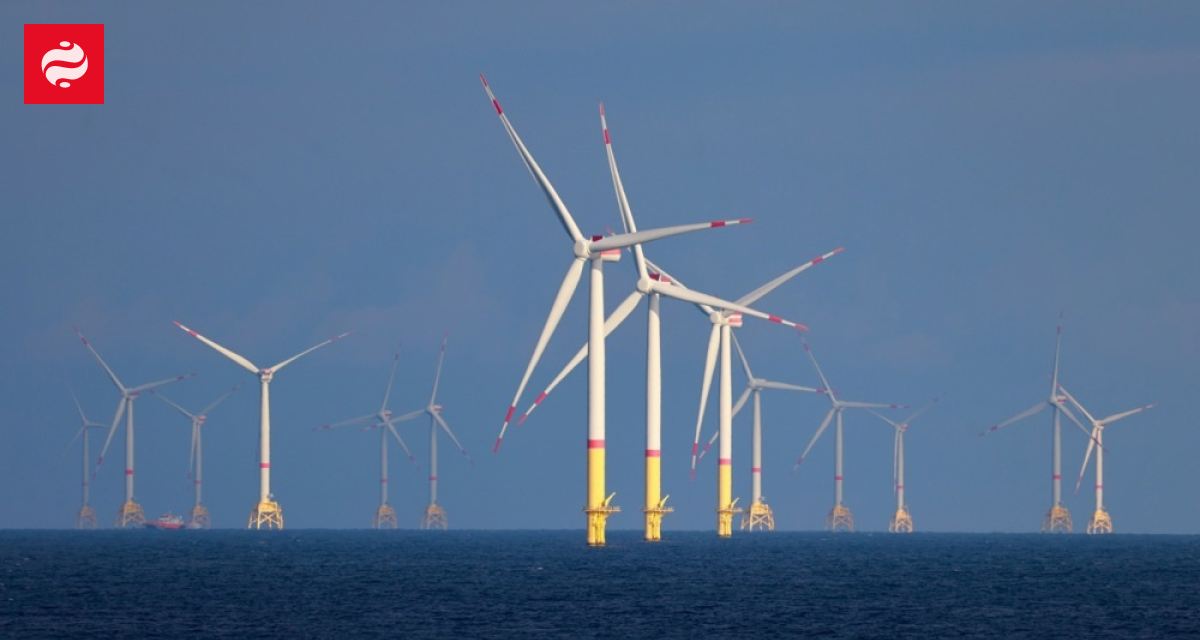 На администрацию Трампа подали в суд за остановку почти достроенной ВЭС