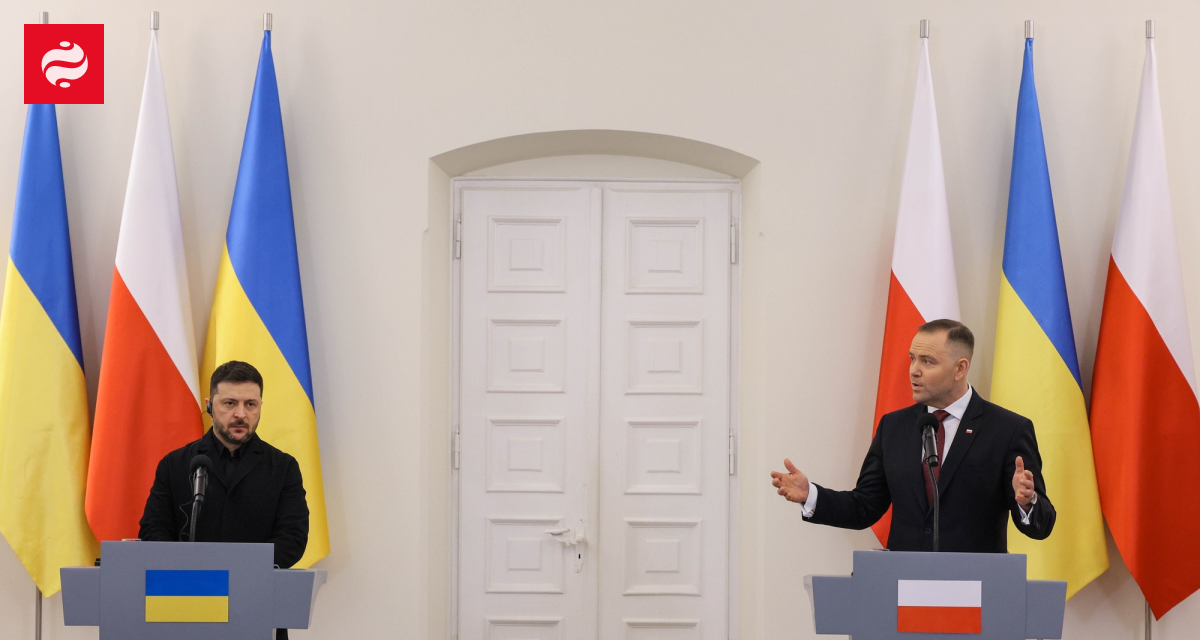 Зеленский предложил Польше технологии защиты от дронов: Мы знаем, как отбиваться от каждого